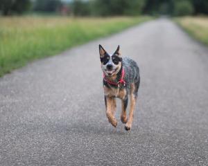 10500484_1439390932991532_9080547785541024029_n