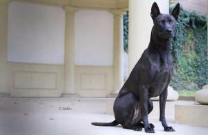 10556239_1483592595238032_1033632403295835021_n