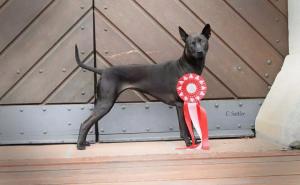 10710610_1483592661904692_4518114920054439163_n