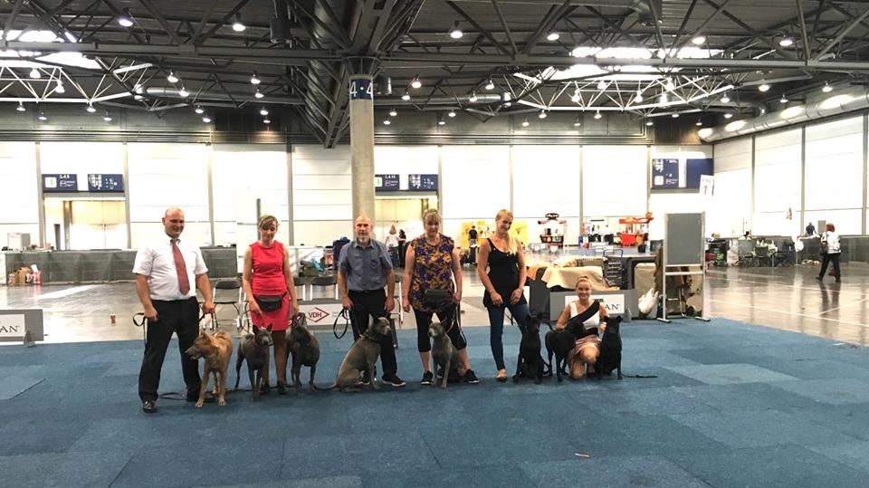 14040074_1565346537106273_4471958605051573883_n