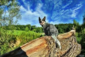 1604740_1378440442419915_614468149_n