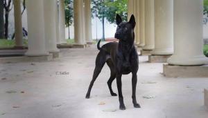 560166_1483592611904697_8993473692001970532_n