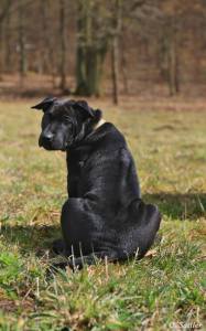 75028_1378436782420281_1920546695_n