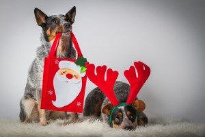 Originalbild unter: http://picthis.fotograf.de/photo/567827ee-8df4-4b48-b7ef-65a80a21aa0c