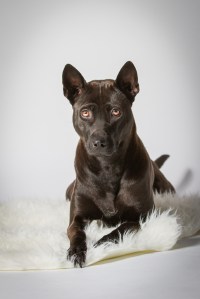 Originalbild unter: http://picthis.fotograf.de/photo/567874a6-8338-4cb7-ad6a-3f140a21a850