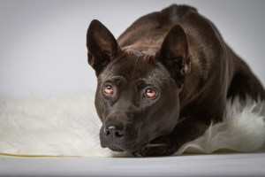 Originalbild unter: http://picthis.fotograf.de/photo/567874c0-c420-4763-9091-11e90a238e02