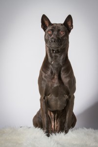 Originalbild unter: http://picthis.fotograf.de/photo/567874e7-5fb8-4e52-9378-78fb0a21aa0c