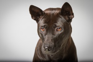 Originalbild unter: http://picthis.fotograf.de/photo/56787570-bc64-419d-8b1c-40c20a21a850