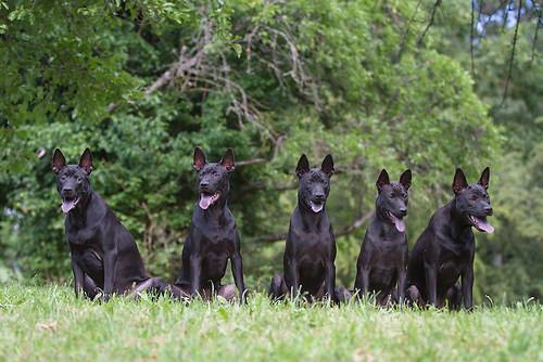 13879380_1560910200883240_1194093730581529108_n