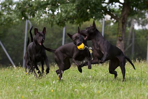 13932667_1561485717492355_5153260599161166745_n