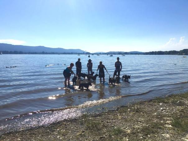 14034953_1567544553553138_775073503854463879_n