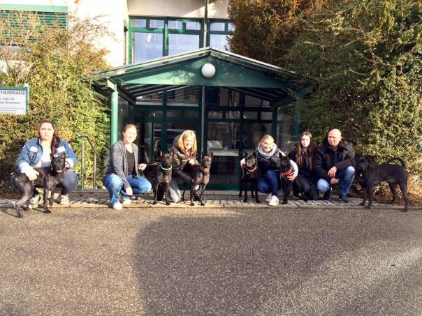 17021519_1635519246755668_8144543583926310727_n