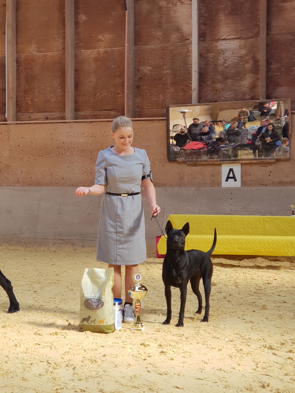 badf52c6-41e4-4ed4-bc13-151d53ae9444