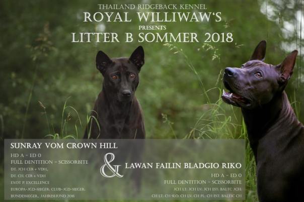 34984997_1814203132220611_7468149525819949056_n