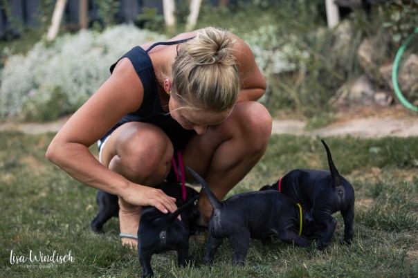 Fischer,Nina_Welpen4Wo_40