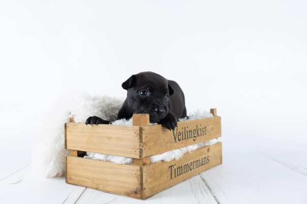 64392592_643180702829613_7454085234502402048_o