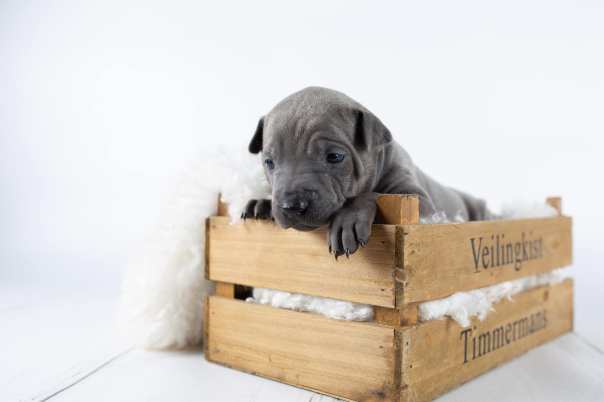 66712249_643182522829431_1638606628460691456_o