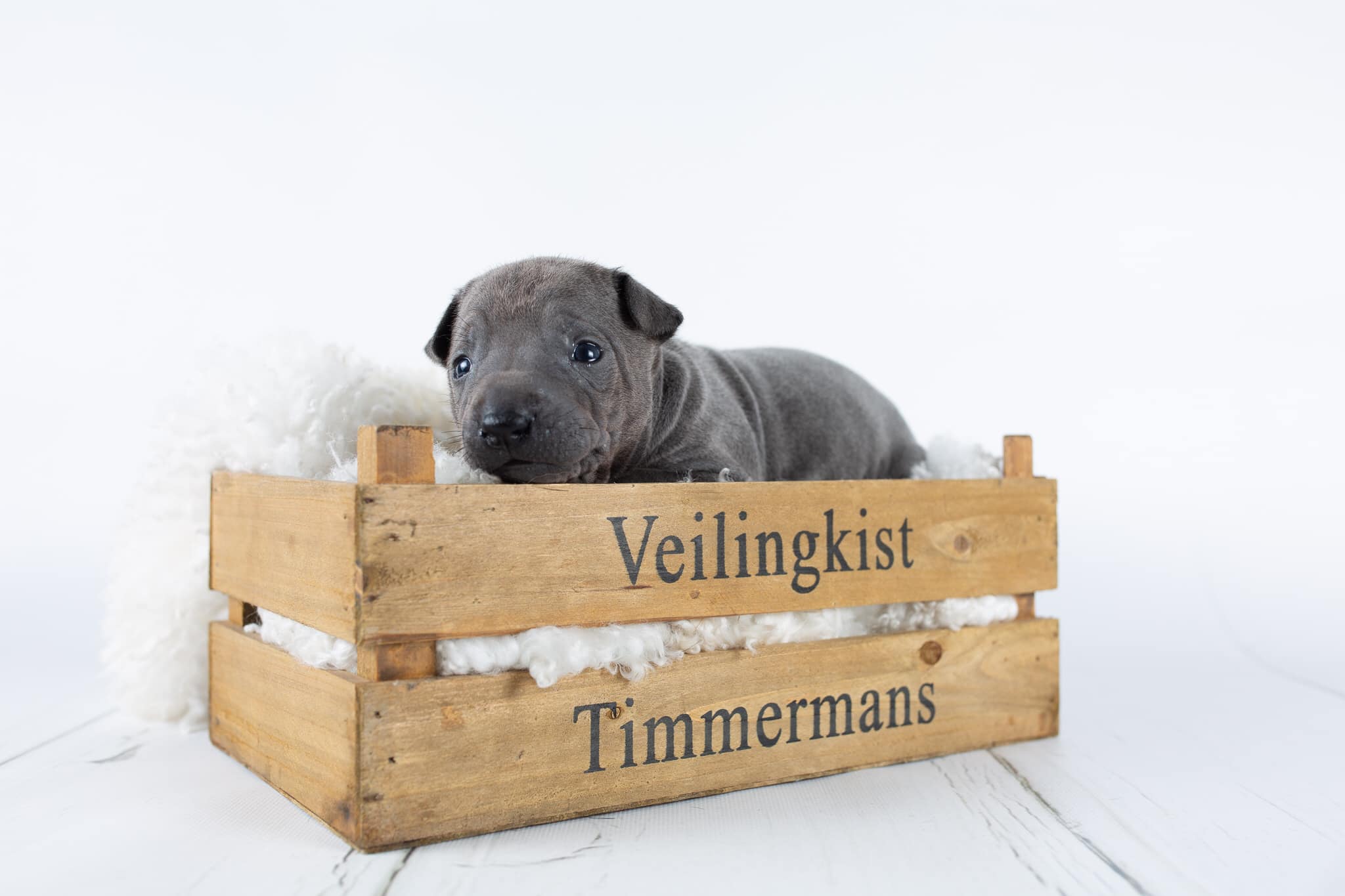 66780803_643182022829481_3378809802070163456_o