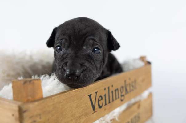 66790033_643183266162690_7975534645519319040_o