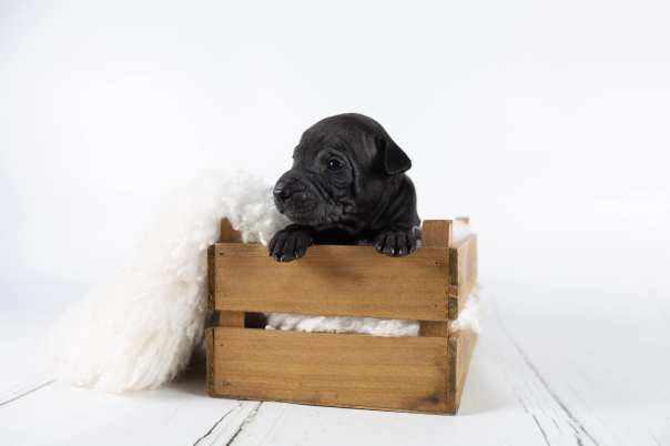 66833182_643182912829392_1819408392091860992_o