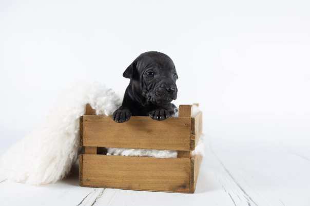 66842240_643183029496047_7540085731197190144_o