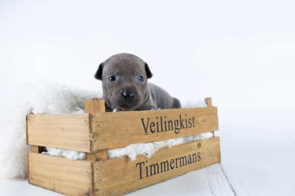 66884094_643182296162787_774431329872773120_o