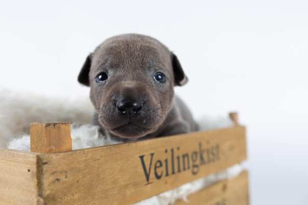 67066964_643182342829449_9002404988906897408_o