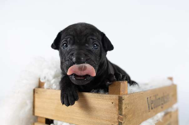 67096114_643183202829363_2507846402160197632_o