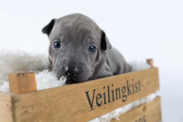 67103718_643182429496107_2009231214837235712_o