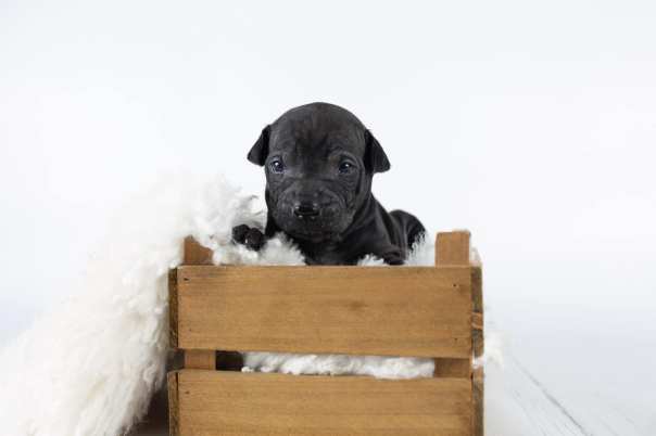 67129141_643182899496060_8223416806107250688_o