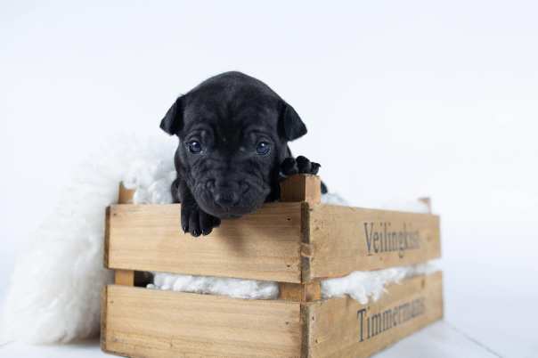 67162453_643183182829365_6681535358003314688_o