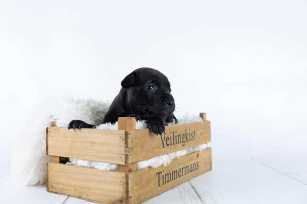 67162918_643180632829620_8470865870782988288_o