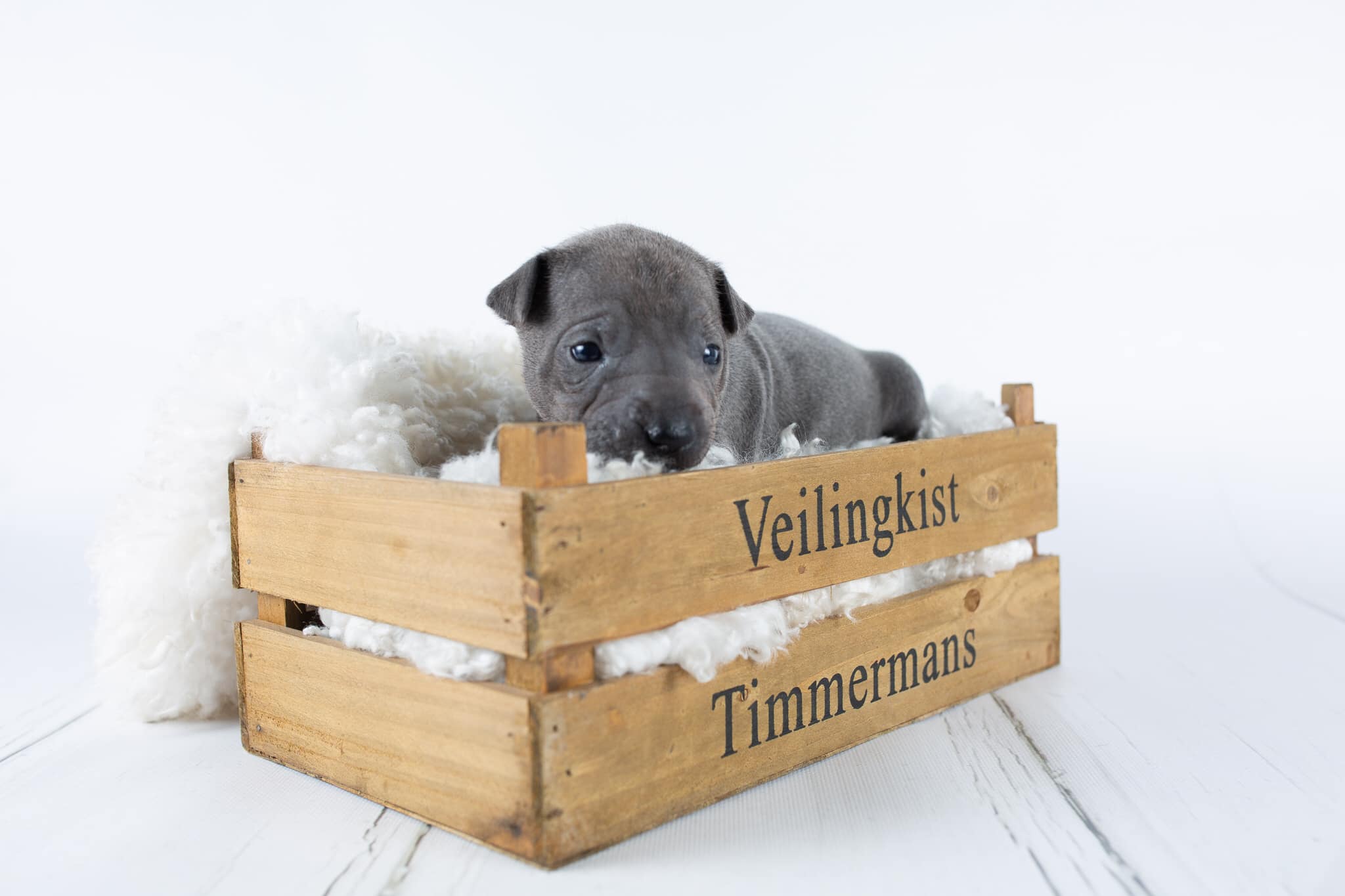 67183170_643181932829490_5038578490312491008_o