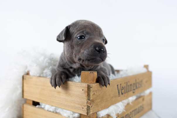 67220099_643182246162792_3663359133551165440_o