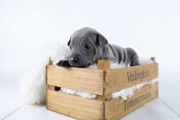 67247819_643182442829439_9053988778787471360_o