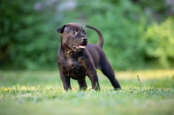 67248090_649264735554543_7061901050466271232_o