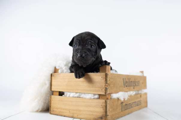 67259785_643183116162705_8413359720433188864_o