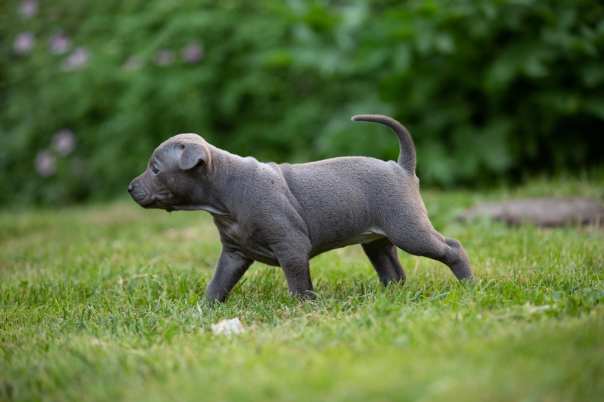 67295122_649265785554438_1960598114733654016_o