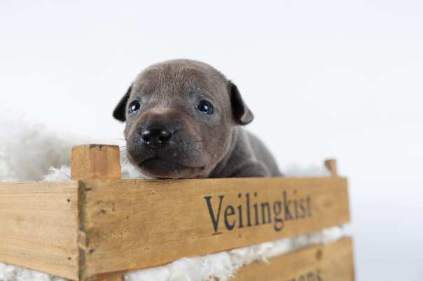 67295776_643182309496119_5340305182716592128_o-2