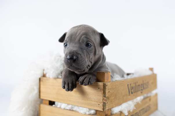 67355098_643182612829422_3364748444215279616_o