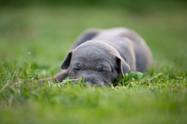 67366714_649265575554459_5986868524369313792_o