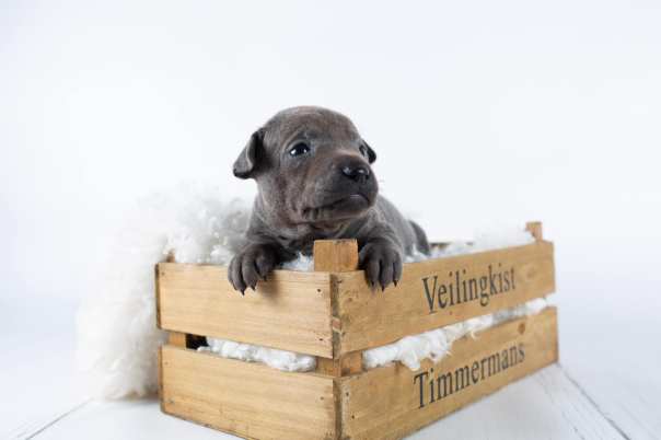 67370031_643182226162794_2980278137406881792_o