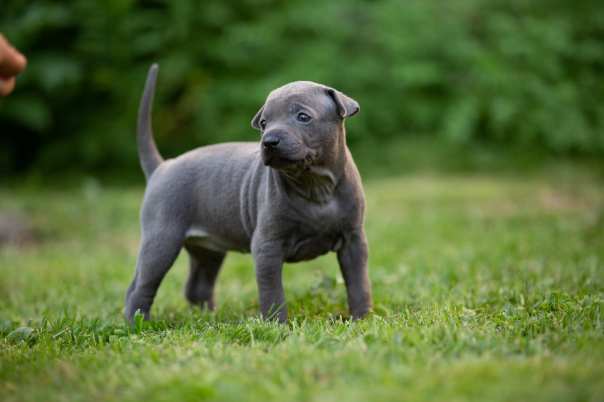 67371970_649265712221112_3392889142953115648_o