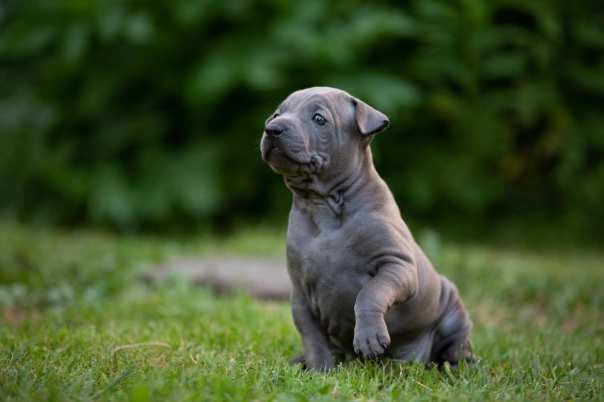 67374713_649265992221084_9087077632037617664_o-2