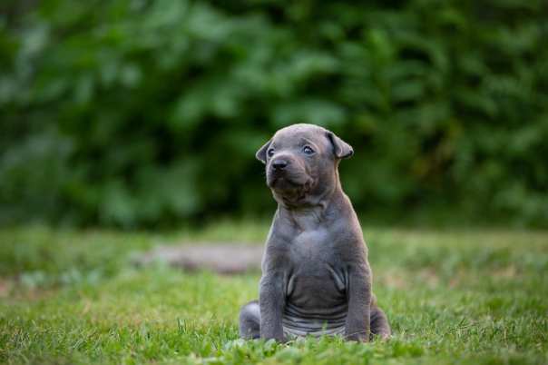 67389588_649265635554453_6115274409998548992_o