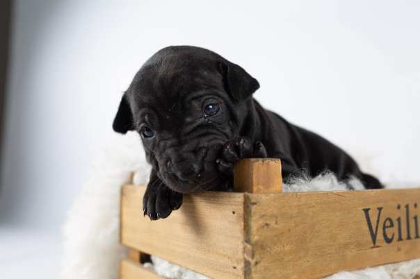 67402321_643183252829358_7113236170330341376_o