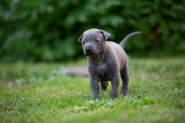 67430485_649265672221116_2046344315004780544_o