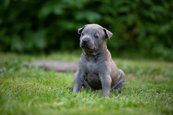 67440216_649266005554416_2933762980166238208_o