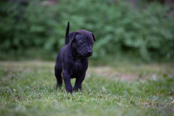 67461849_649266708887679_5811232549833277440_o