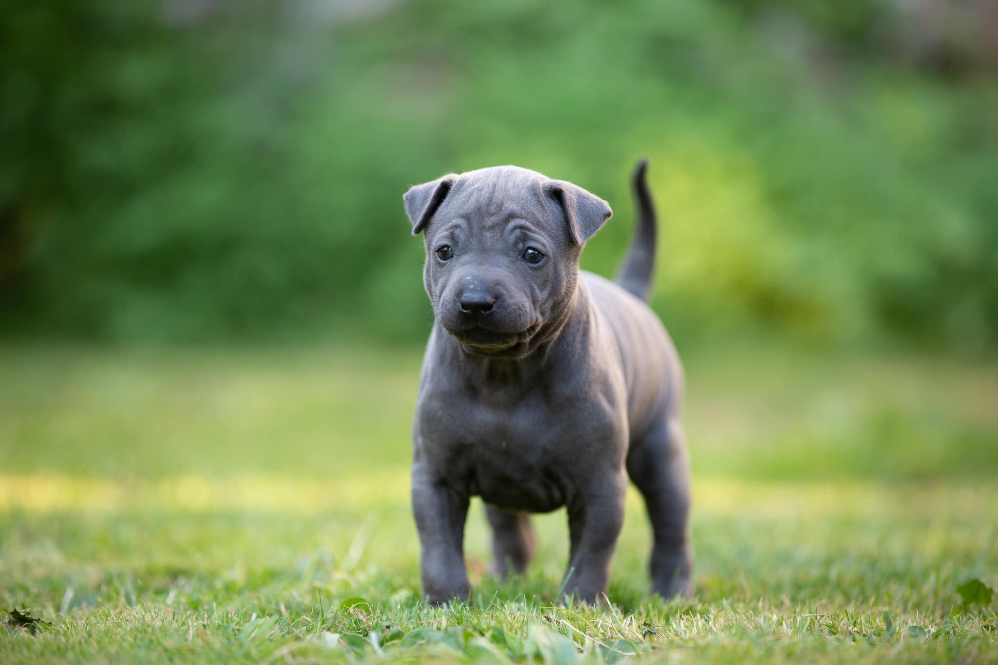 67611863_649265042221179_2754643069893607424_o